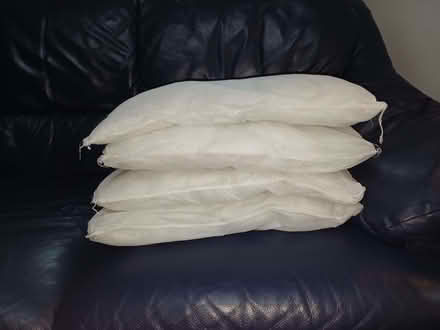 Photo of free Cushion pads / inserts, no covers (Winkwell HP1) #1