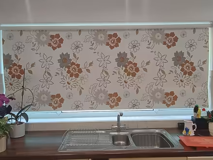 Photo of free Roller blind (GU51) #1