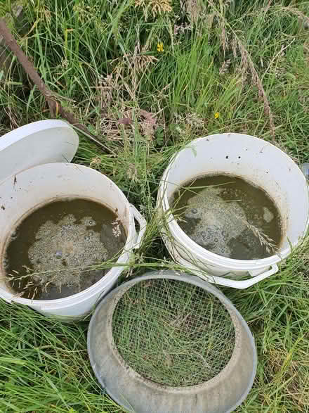 Photo of free Nettle fertiliser (Street on the Fosse BA4) #1