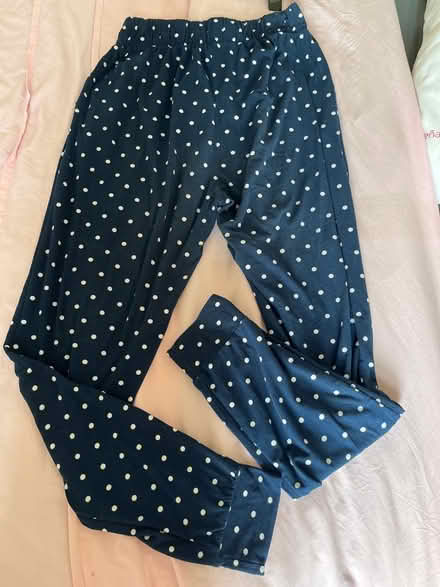 Photo of free Polka dot jogger (Brighton 15th St.) #1