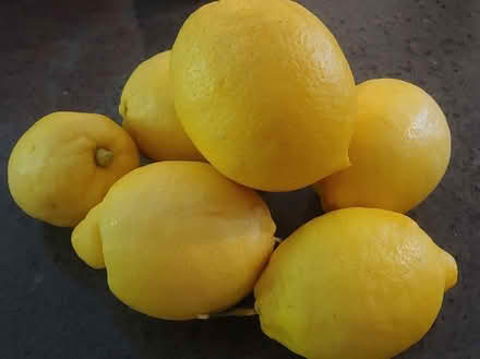 Photo of free Fresh Lemons (94087) #1