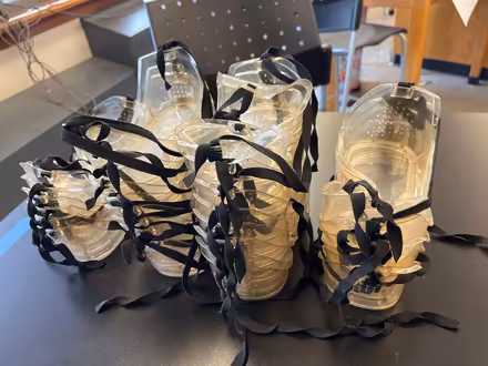 Photo of free Class Set of Goggles (Prospect Heights) #1