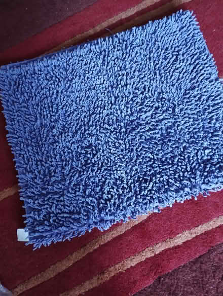 Photo of free Purple bath mat (Edginswell TQ2) #1