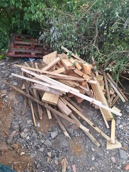 Photo of free Firewood (Bilton CV22) #1