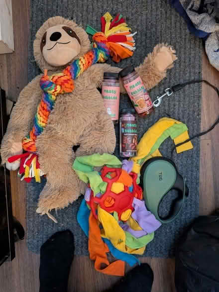 Photo of free Dogs toys & retractable lead (Manchester M19) #1