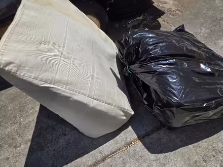 Photo of free 2 wedge pillows (El Sobrante) #1