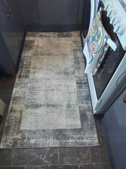 Photo of free Large Rug (Granton EH5) #1