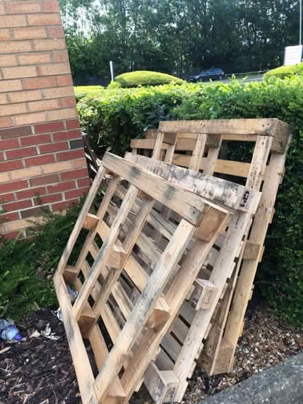 Photo of free Wooden pallets (Priory Business Park MK44) #1