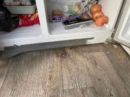 Photo of free American Style Fridge / Freezer (CT2) #3