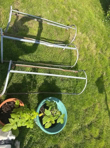 Photo of free Allotment/gardening (FK7 Torbrex) #1
