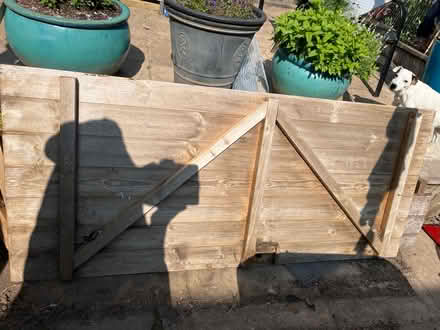 Photo of free Shed door (Scale Hall, Lancaster LA1) #1