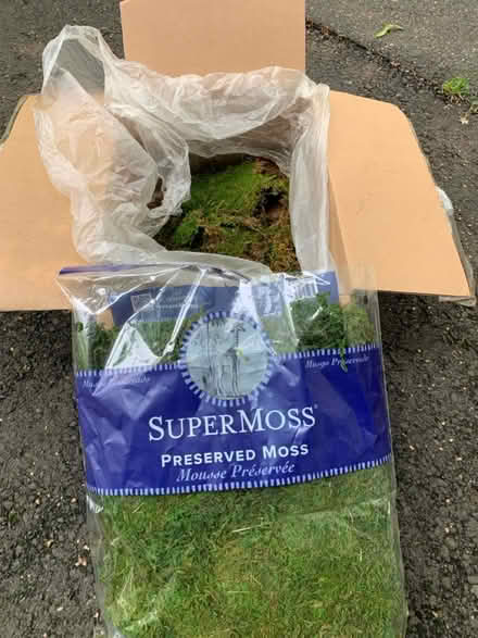 Photo of free Box and Bag of Preserved Moss (Cottageville, South Brunswick) #2