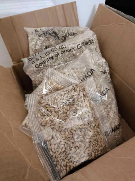 Photo of free Cat grass grower (Se1 8qt) #2