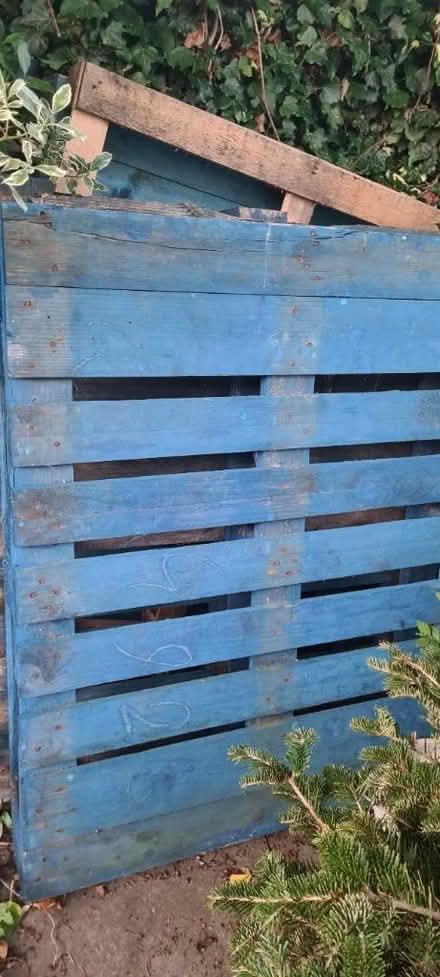 Photo of free Pallets - 2 (ME1) #1