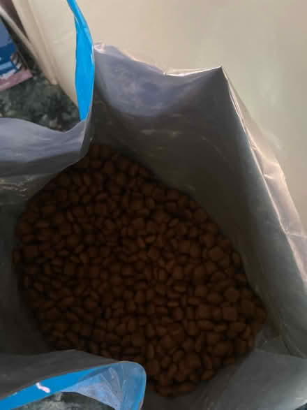 Photo of free Royal Canine Junior Giant dog food (Selly Oak B29) #2