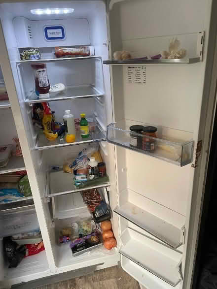 Photo of free American Style Fridge / Freezer (CT2) #4