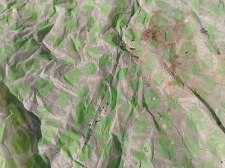 Photo of free Garden fleece? (Penrith CA11) #1