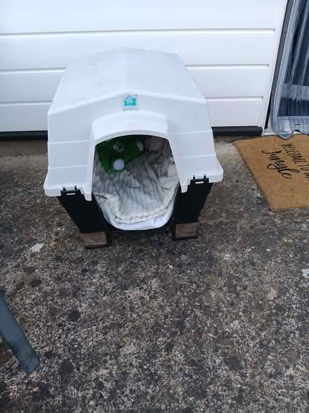 Photo of free Cat House Crate (Elm Park RM12) #2