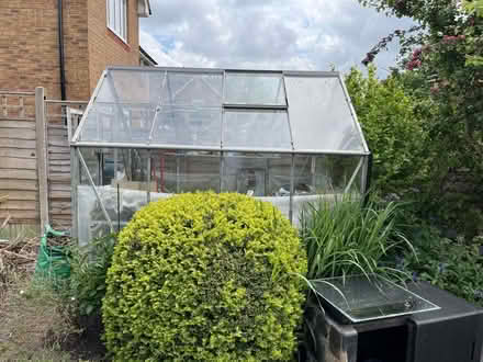 Photo of free Greenhouse, aluminium 6x8 feet (Wraxall BS48) #2