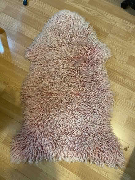 Photo of free Pink Sheepskin Rug (SW16) #1
