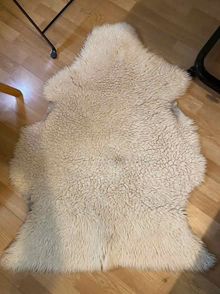 Photo of free Sheepskin Rug (SW16) #1