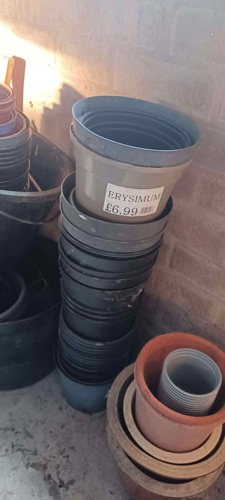 Photo of free Plastic plant pots (Longden SY5) #3