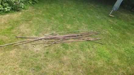 Photo of free Assortment of canes for gardening (Bromley BR1) #1