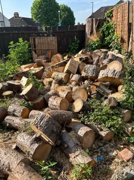 Photo of free Loogs (Enfield EN3) #2