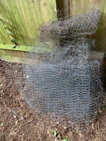 Photo of free Various chicken wire (St Albans AL1) #1