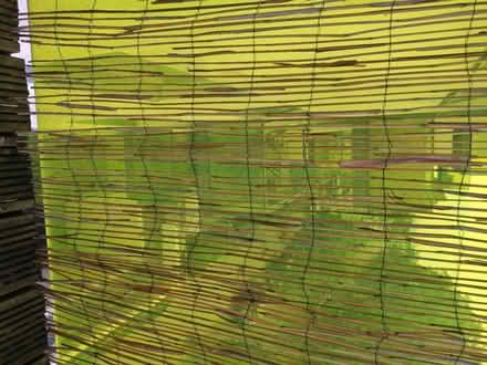 Photo of free Bamboo screen (Se5) #1