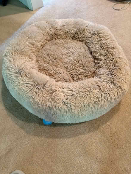 Photo of free New soft fluffy dog bed (Herndon near McNair ES) #1