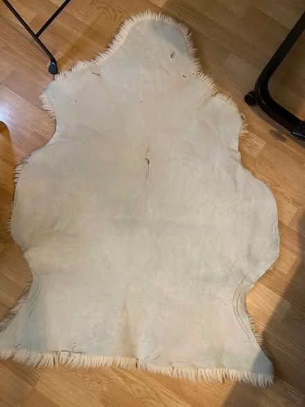 Photo of free Sheepskin Rug (SW16) #2