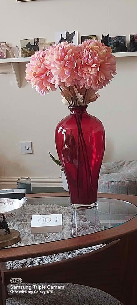 Photo of free Beautiful Red Glass Vase (tunstall LA6) #1