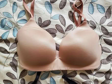 Photo of free Two 32DD bras (North Oakland) #4