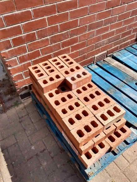 Photo of free 50+ common bricks, unused (Norton Lees S8) #1
