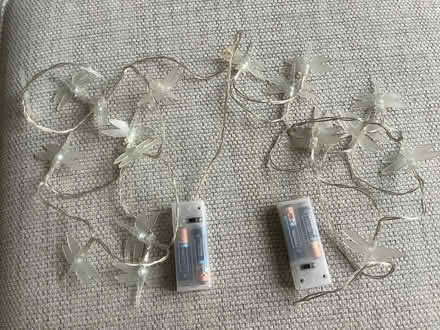 Photo of free Indoor butterfly lights (Childwall L16) #1