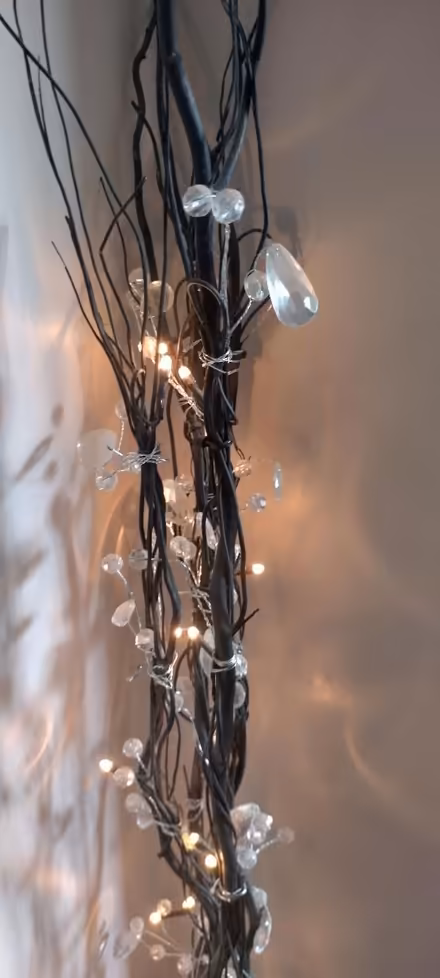 Photo of free Black twig lights (NG10) #2