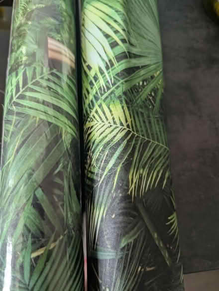 Photo of free Wallpaper almost 2 full rolls (Goffs Oak EN7) #1