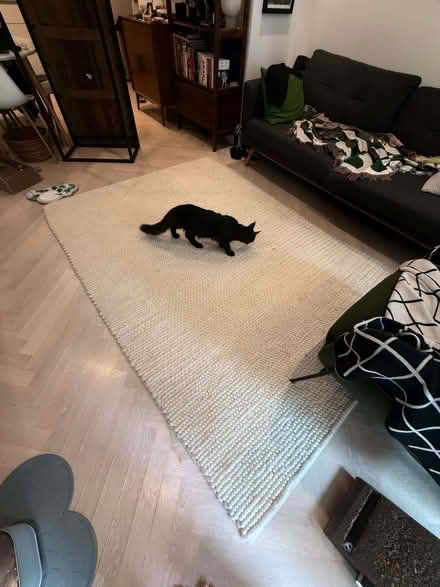 Photo of free IKEA Rug - 160x240 (North Road N7) #3