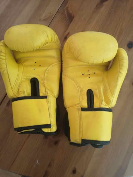 Photo of free Children's boxing gloves (Headington OX3) #2