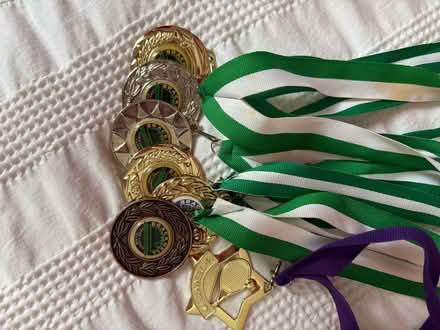 Photo of free BLTC medals (Whitegrove RG42) #1