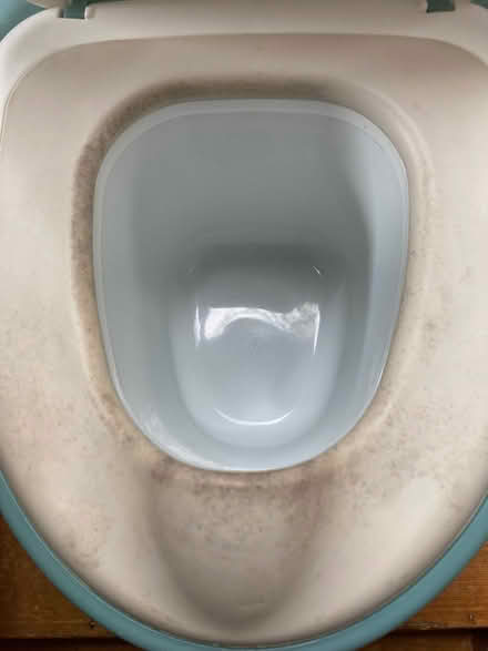 Photo of free Flushing potty toilet and red guard rail toddler kids (Skirwith CA10) #2