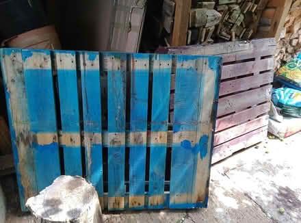 Photo of free Pallets (Broadbridge Heath) #1