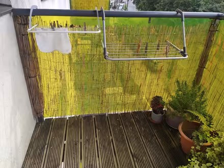 Photo of free Bamboo screen (Se5) #2