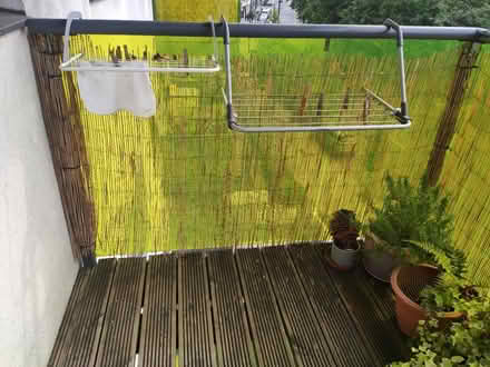 Photo of free Bamboo screen (Se5) #2