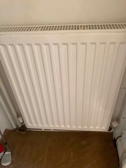 Photo of free Brand new single radiator (Harrogate HG1) #1