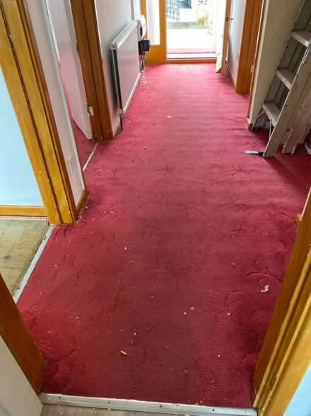 Photo of free Carpet (CT11) #1