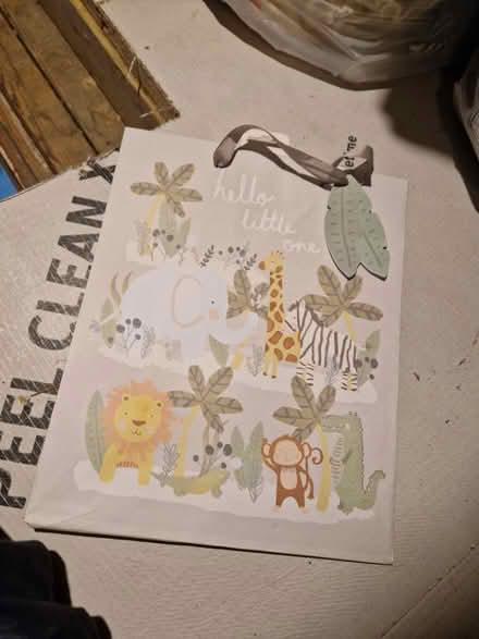 Photo of free Celebration gift bags (BN2) #2