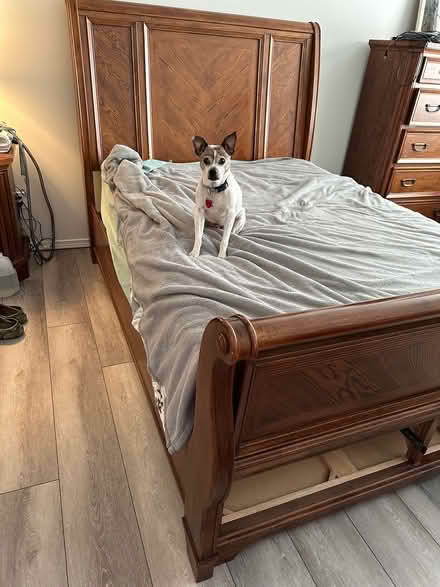 Photo of free Queen Sleigh bed frame (By Cascade Hospital Arlington) #2