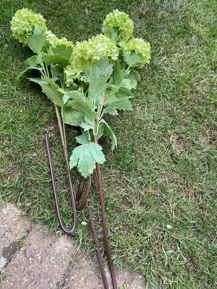 Photo of free Faux flowers (Letchworth garden city SG6) #2